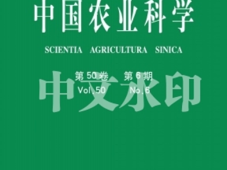 实用新型专利